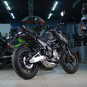 Мотоцикл Regulmoto ALIEN MONSTER 300 (Черный, , 100012-3)