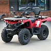 Квадрицикл Bizon YK200 BASIC CARB (Красный)