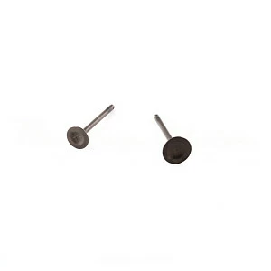 Клапаны (компл. 2шт) 4T двиг. TTR125, YX125 стандартные d=20/23  SM-PARTS
